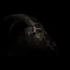 Josh Rambo - Scape Goat - Single